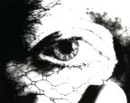 cageofflame_bw_eye.jpg